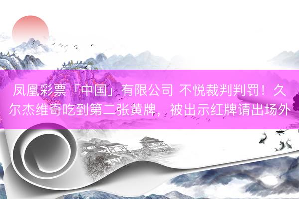 凤凰彩票「中国」有限公司 不悦裁判判罚！久尔杰维奇吃到第二张黄牌，被出示红牌请出场外