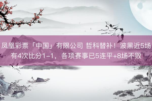凤凰彩票「中国」有限公司 哲科替补！波黑近5场有4次比分1-1，各项赛事已5连平+8场不败